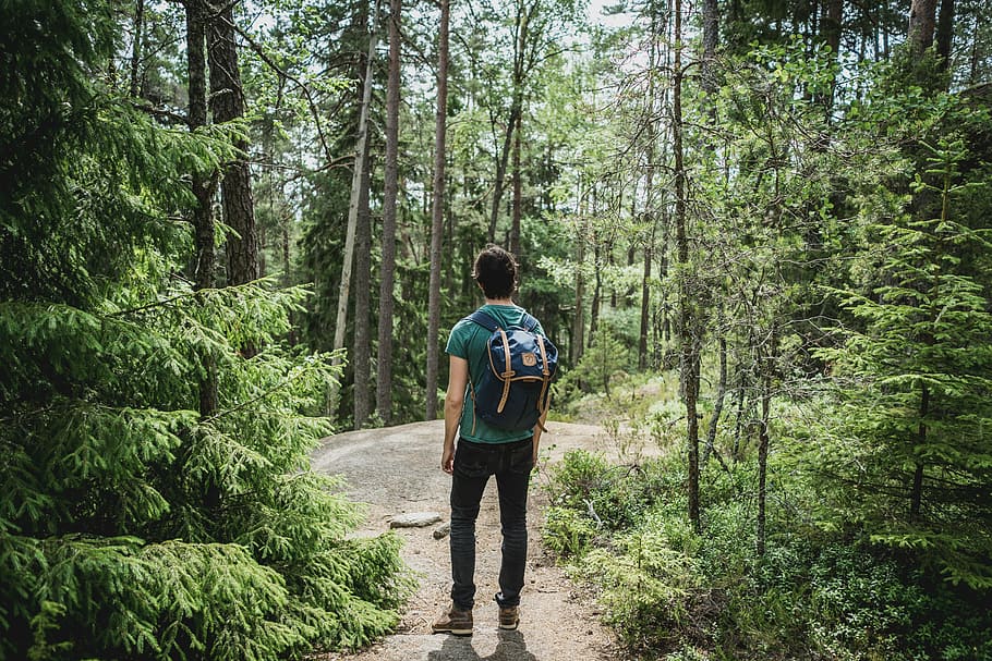 man wearing blue backpack walking through forest, man standing near trees HD wallpaper
