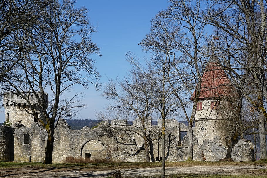 ruin, castle, park, trees, honing mountain, tuttlingen, germany HD wallpaper
