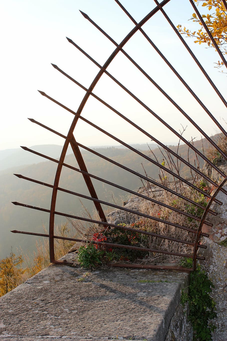 grid, metal, iron, stone wall, bars, plant, nature, no people HD wallpaper