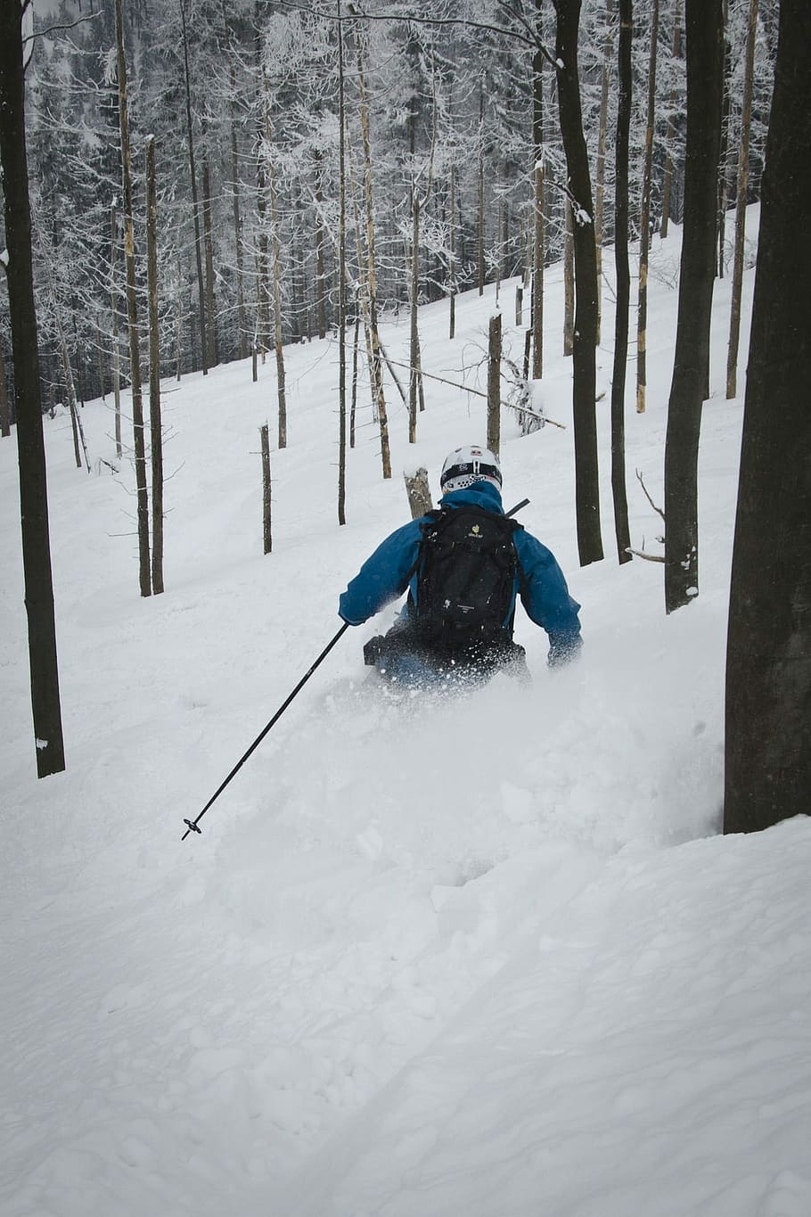 Freeride, Skis, Winter, Forest, snow, cold temperature, one person HD wallpaper