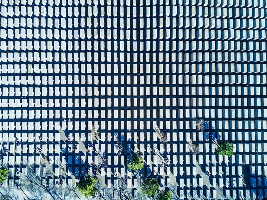 blue and white abstract painting, untitled, building, plant, architecture HD wallpaper