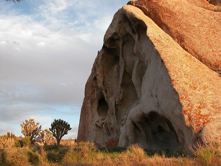 landscape, rocks, desert, outdoors, boulder, joshua trees, cima dome, HD wallpaper