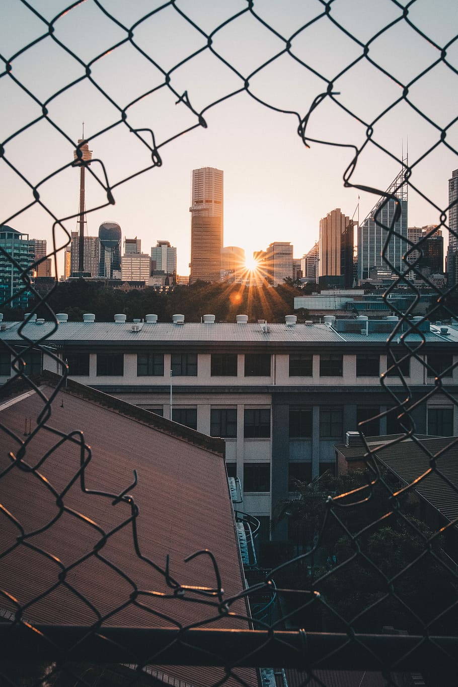 viewing sunset through cyclone fence, gray metal chain-link fence with high-rise building view during sunset