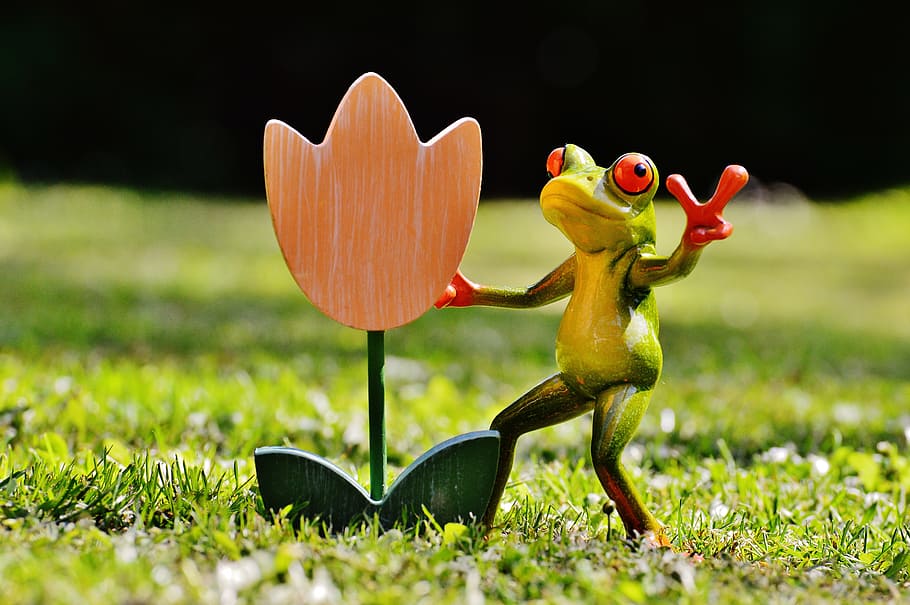 Frog, Flower, Sweet, Cute, funny, affection, gift, greeting HD wallpaper