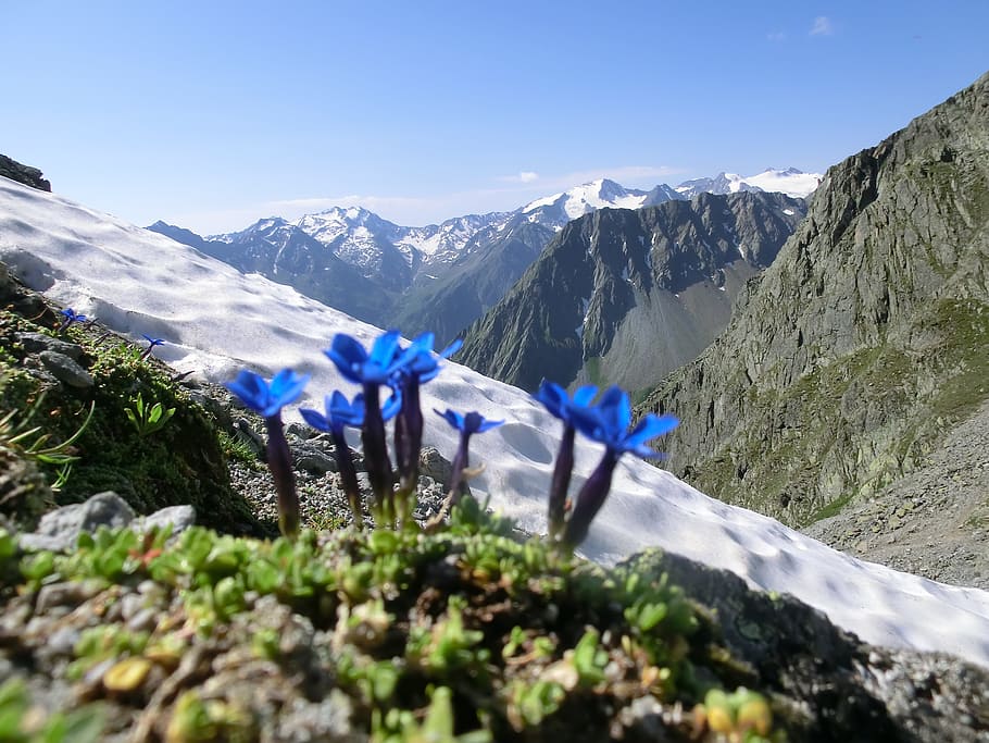 bassler yoke, the stubai high-altitude trail, alpine, mountains, HD wallpaper