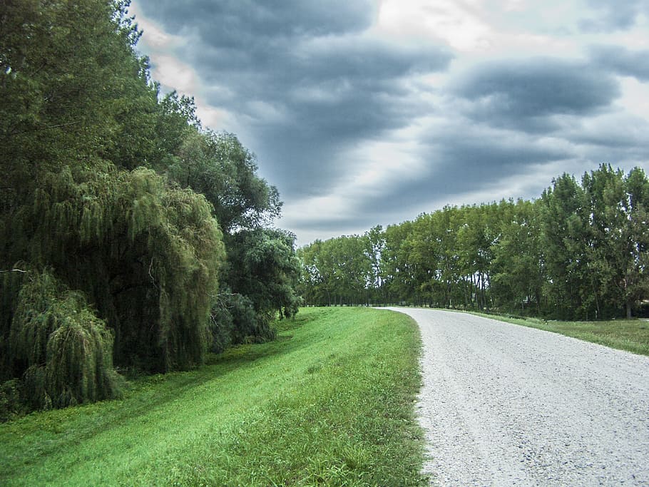 nature, sky, clouds, meadow, road, green, plant, tree, cloud - sky HD wallpaper