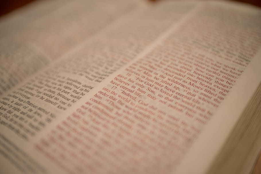 scripture, bible, christian, book, open, page, read, education HD wallpaper
