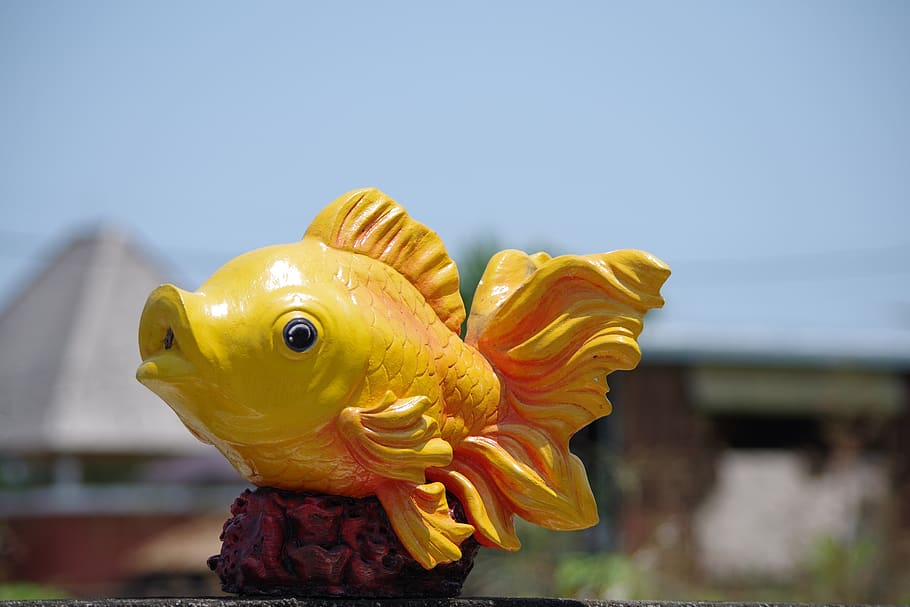 fish, yellow, decoration, focus on foreground, representation HD wallpaper