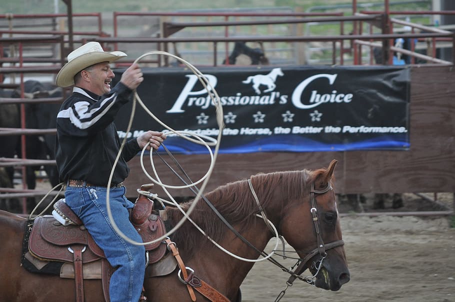 rodeo, ranch, bucking, cowboy, western, texas, rope, riding HD wallpaper