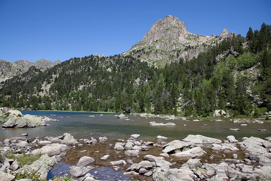spain, nature, forest, travel, landscape, mountain, tourism HD wallpaper