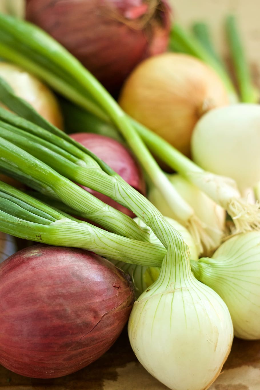 onion, vegetable, spring, food and drink, freshness, healthy eating HD wallpaper