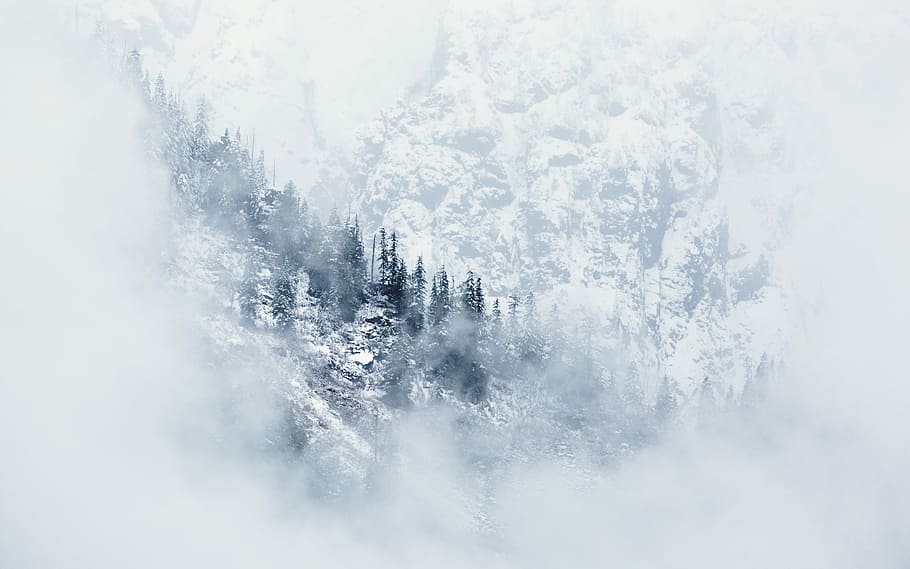 aerial photograph of mountain range with pine trees covered with snow