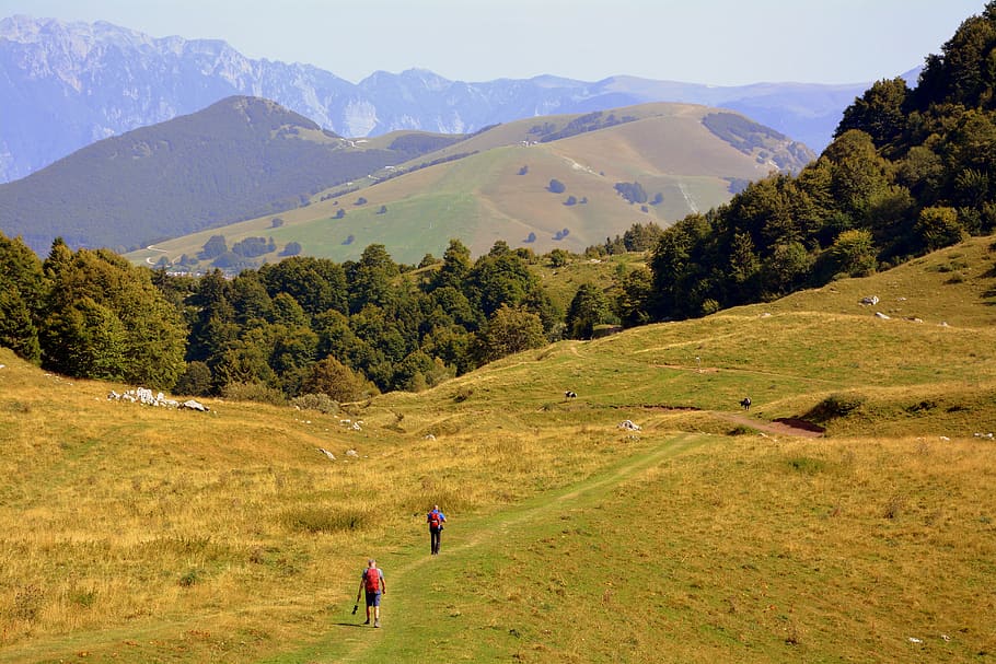 walk, excursion, mountain, trail, backpack, trekking, beauty in nature HD wallpaper