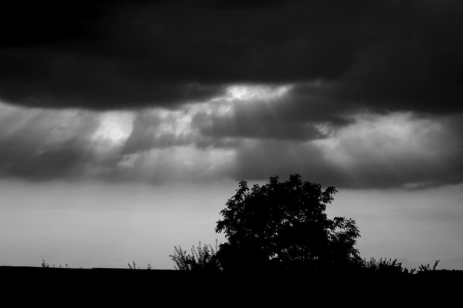 sunbeam, light, mood, rays, sunlight, sky, clouds, cloud formation HD wallpaper
