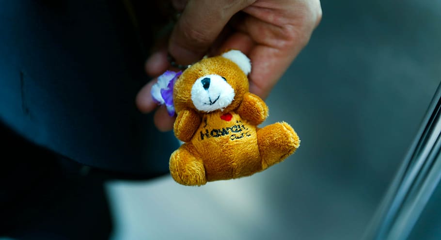 person holding orange bear plus toy, doll, teddy bear, winnie HD wallpaper