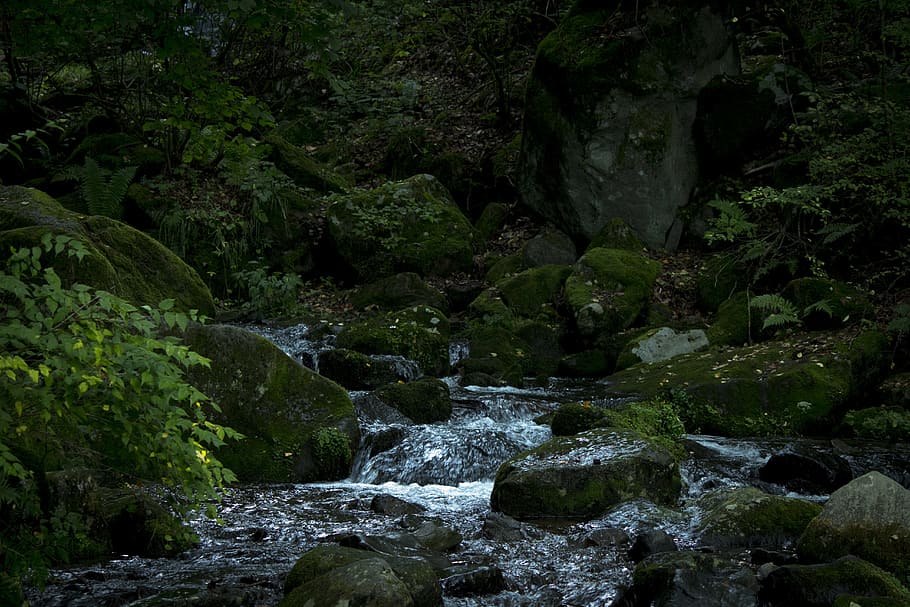mountain, nagano, river, moss, japan, wood, water, water surface HD wallpaper
