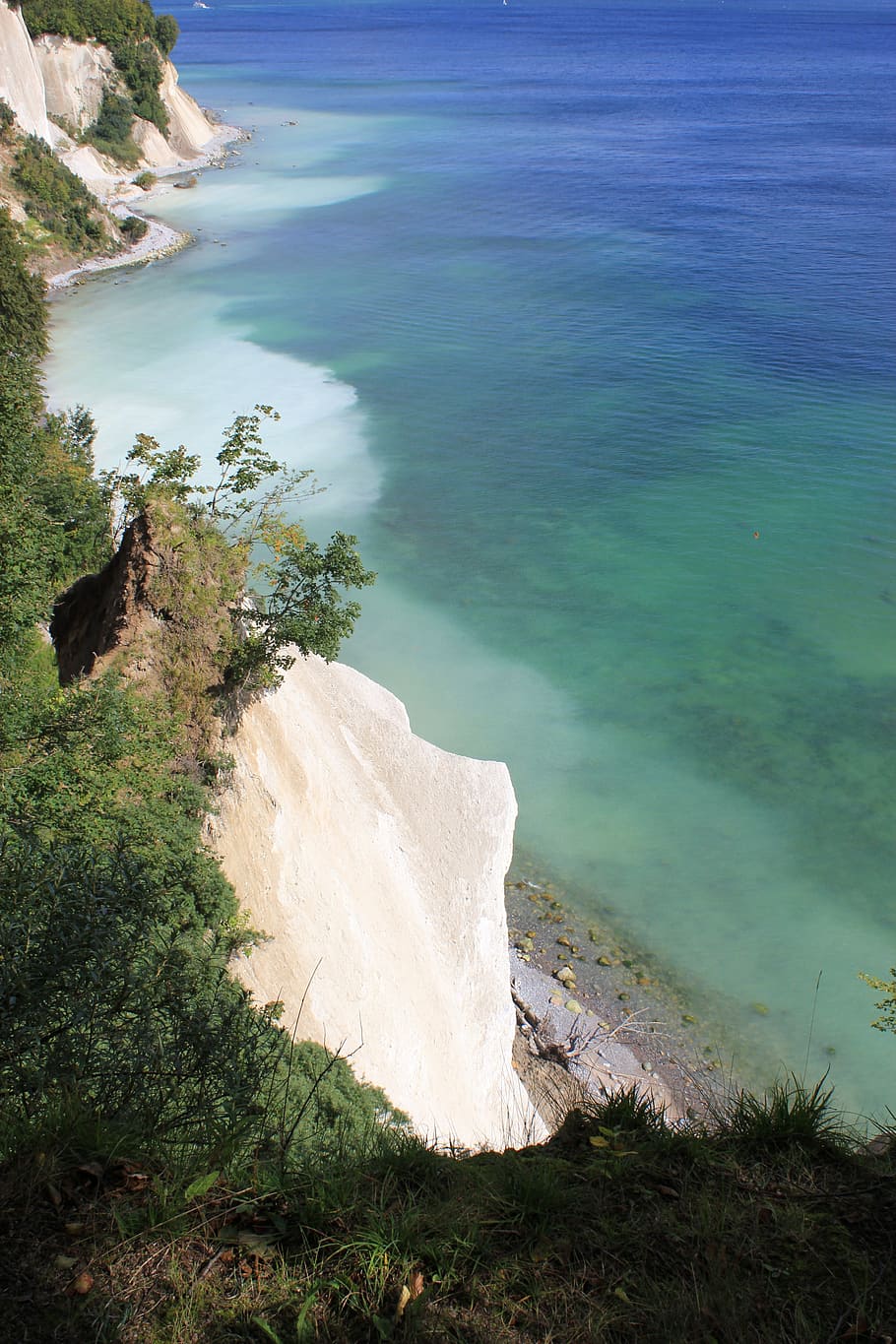 rügen, water, white cliffs, forest, mecklenburg western pomerania HD wallpaper