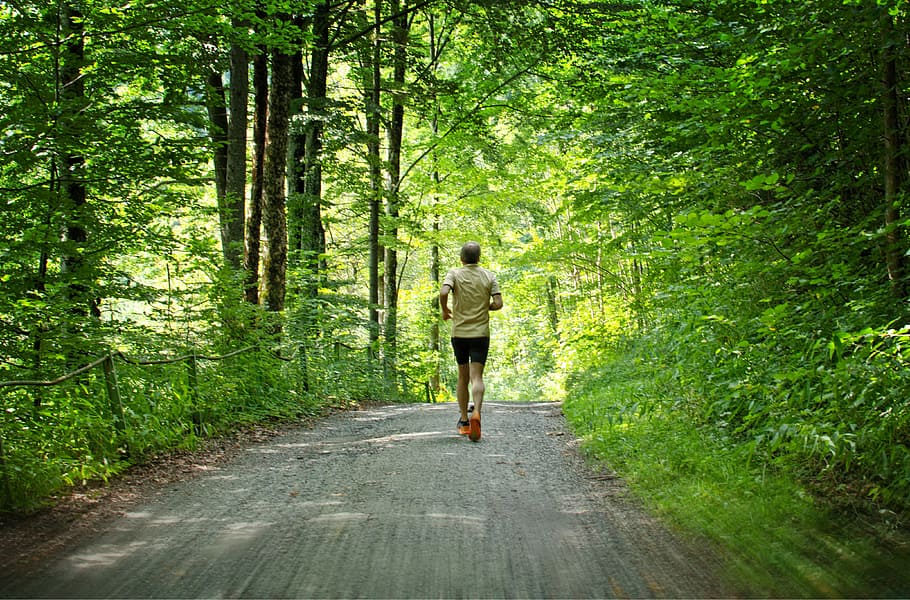 man jogging in the middle of forest, Run, Sport, Leisure, Sporty