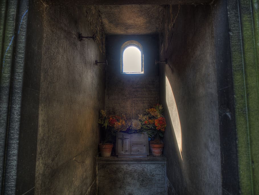 grave, tomb, cemetery, montmartre, cimetière de montmartre, HD wallpaper