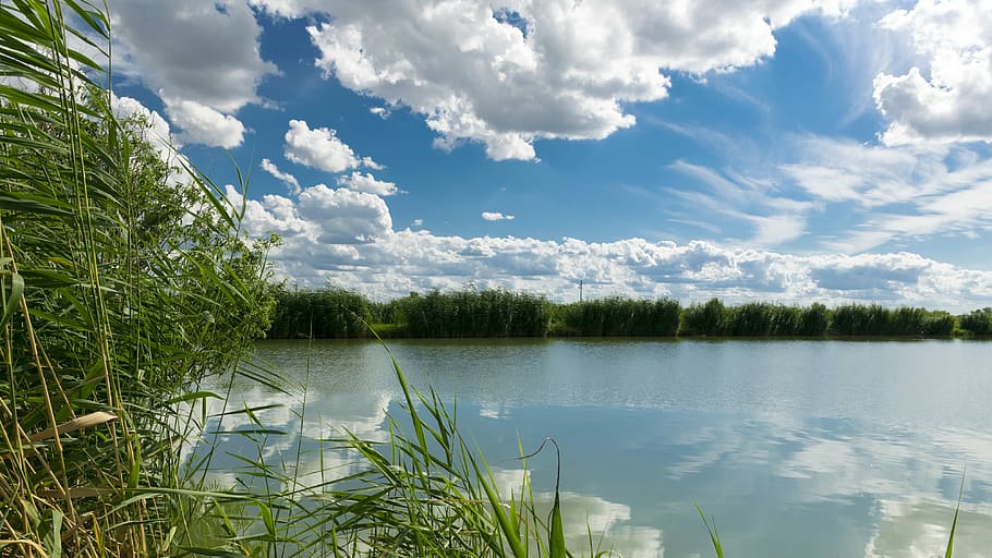 fish pond, nature, clouds, water, cloud - sky, tranquility HD wallpaper