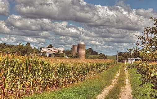 barn, rustic, barns, ohio, digital art, rural, scenic, country HD wallpaper