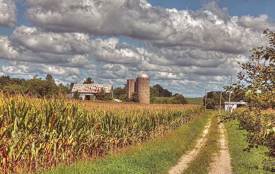 barn, rustic, barns, ohio, digital art, rural, scenic, country HD wallpaper