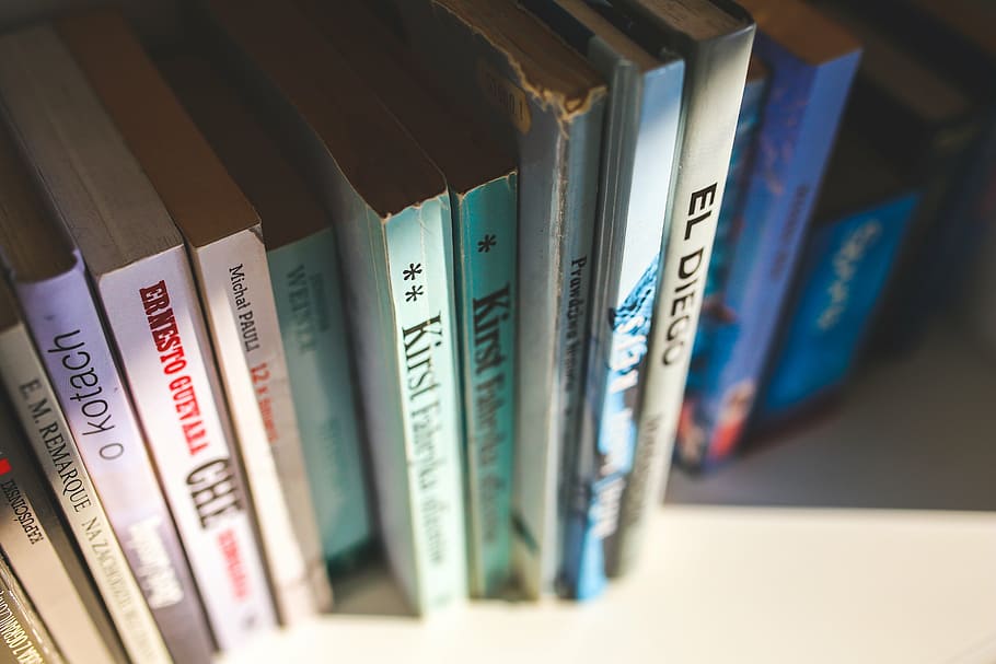 assorted-title book lot, shelf, books, old, vintage, library HD wallpaper