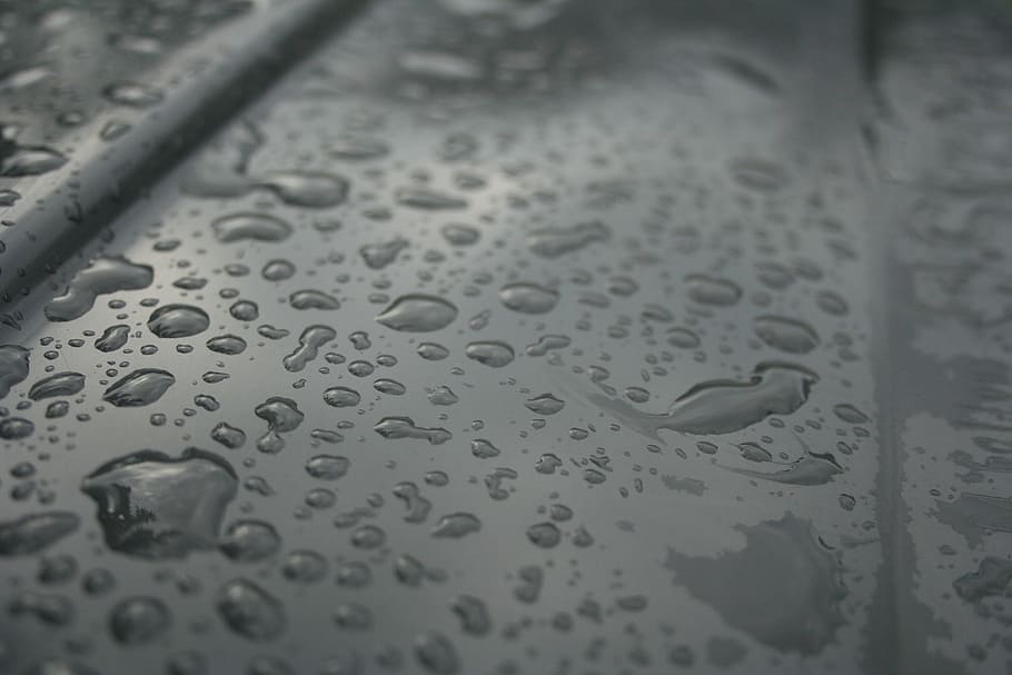 raindrops, watery, drip, wet, close-up, backgrounds, no people HD wallpaper