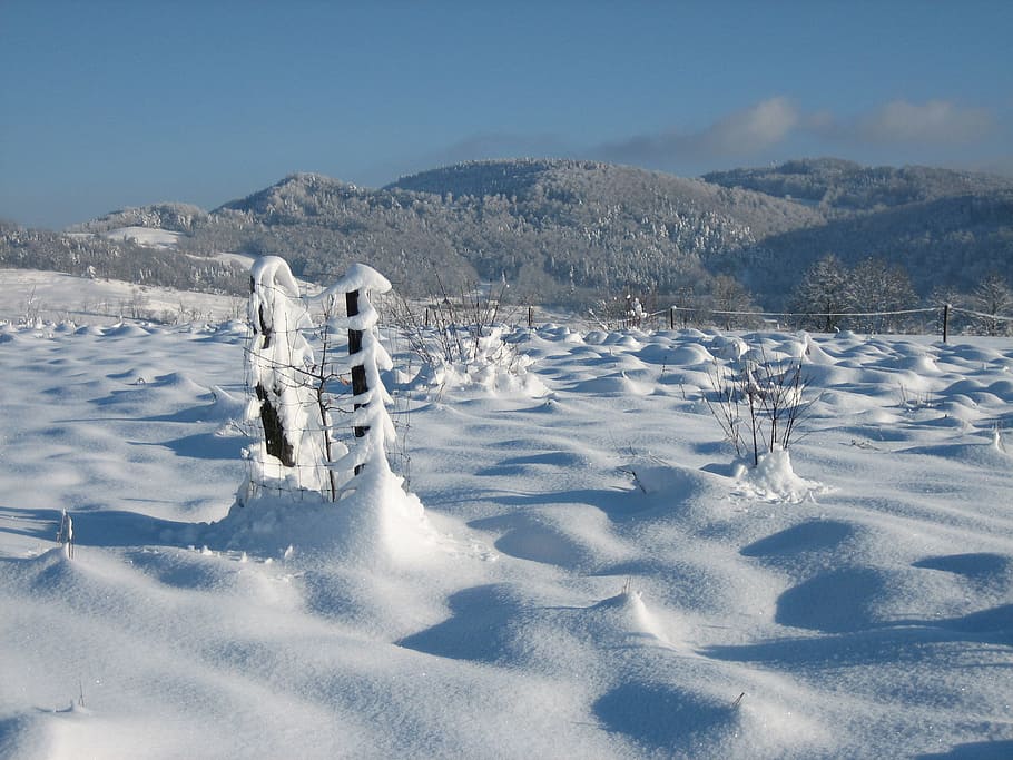 Winter, Snow, Cold, Wintry, cold temperature, nature, outdoors HD wallpaper