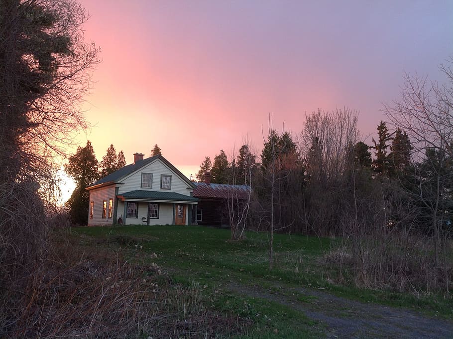 house, sunset, sky, plant, tree, architecture, building exterior HD wallpaper