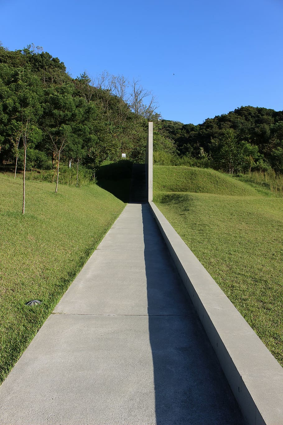 road, straight, continue, concrete, building, art, plant, tree HD wallpaper