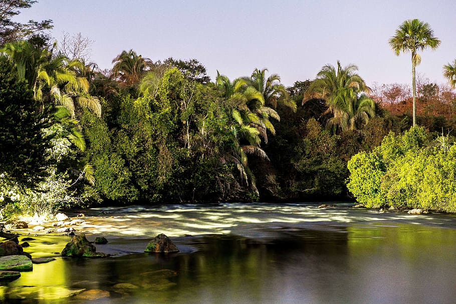 nature, rio, landscape, water, plant, tree, tranquility, beauty in nature HD wallpaper
