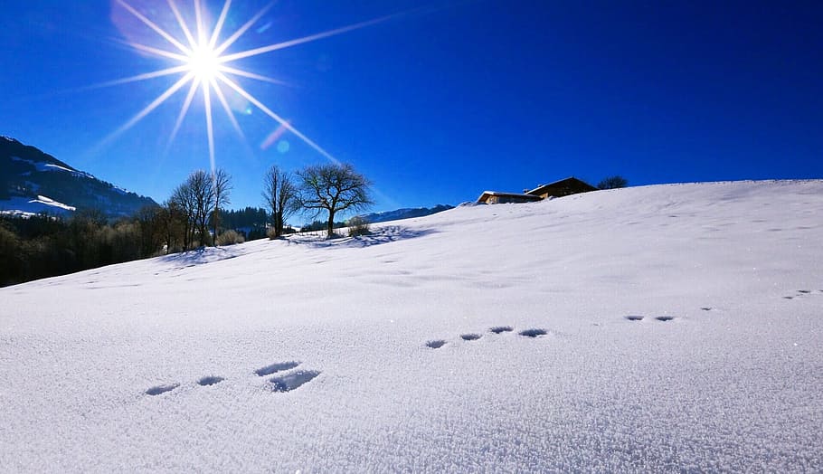 Mountains, Sun, schee, winter, snow, cold temperature, nature HD wallpaper