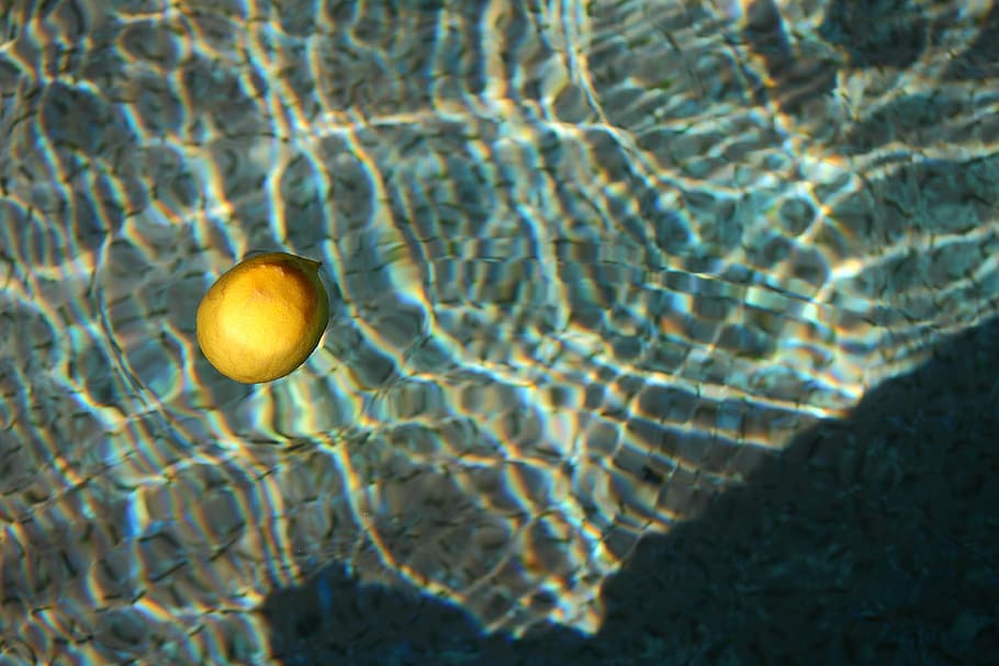 lemon, water, float, sea, nature, no people, underwater, outdoors HD wallpaper