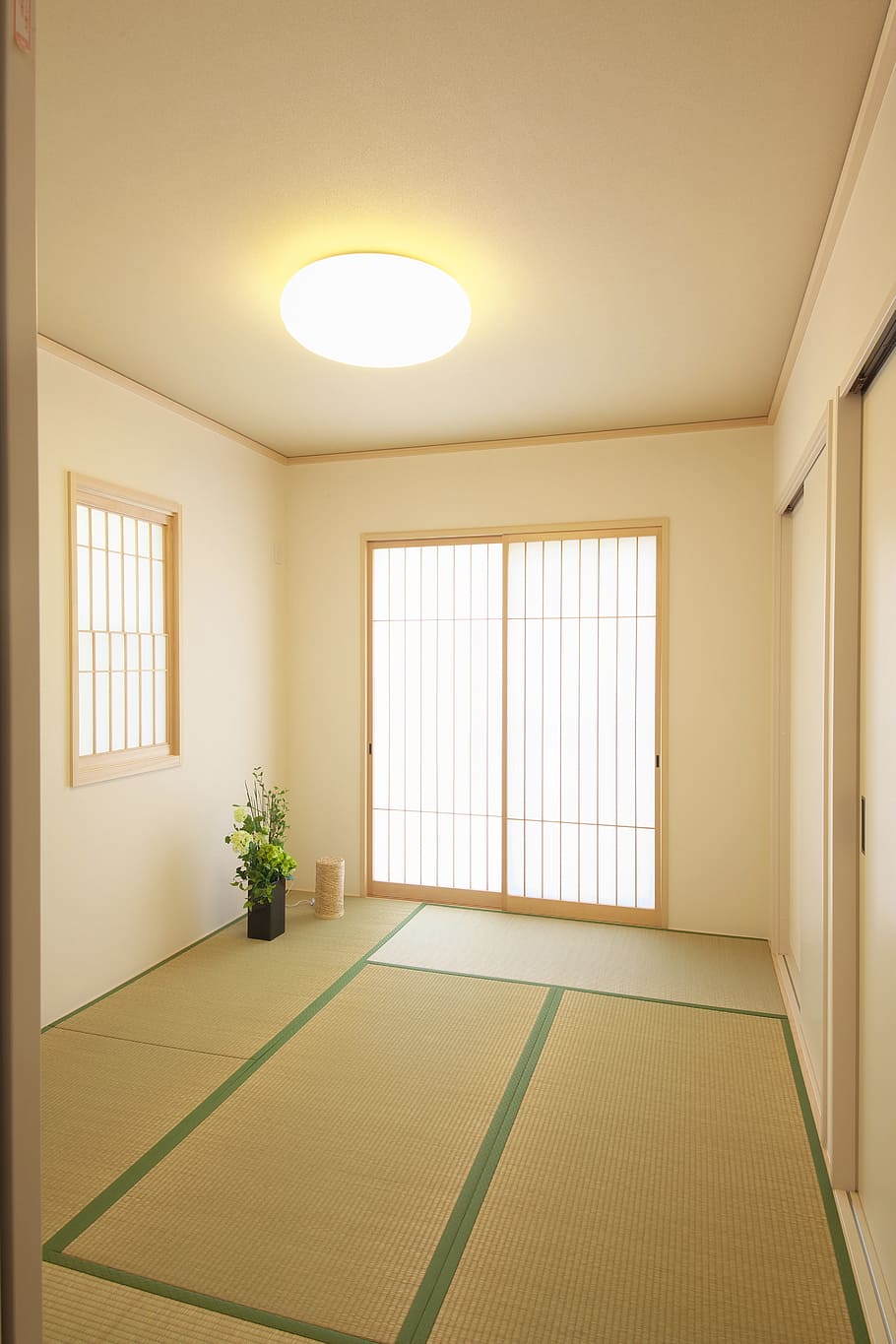 wood, light, house, plant, apartment, architecture, ceiling, contemporary HD wallpaper