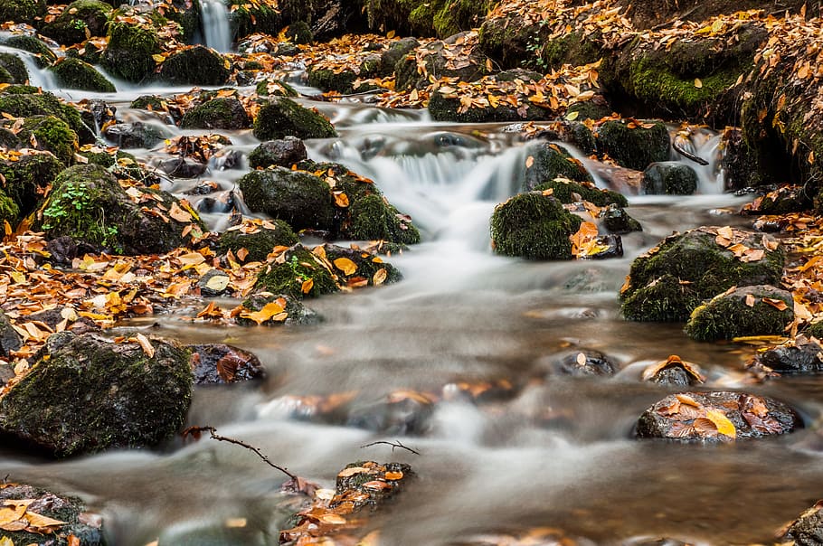 river flows on rock, forest, kennedy, waterfall, november, leaves HD wallpaper