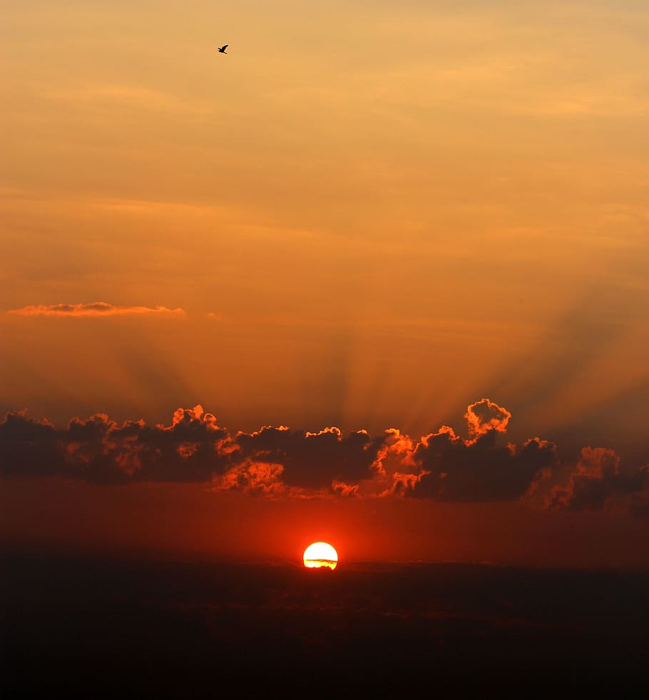 sunrise, cloud, twilight, red, nice, sunset, sky, beauty in nature HD wallpaper