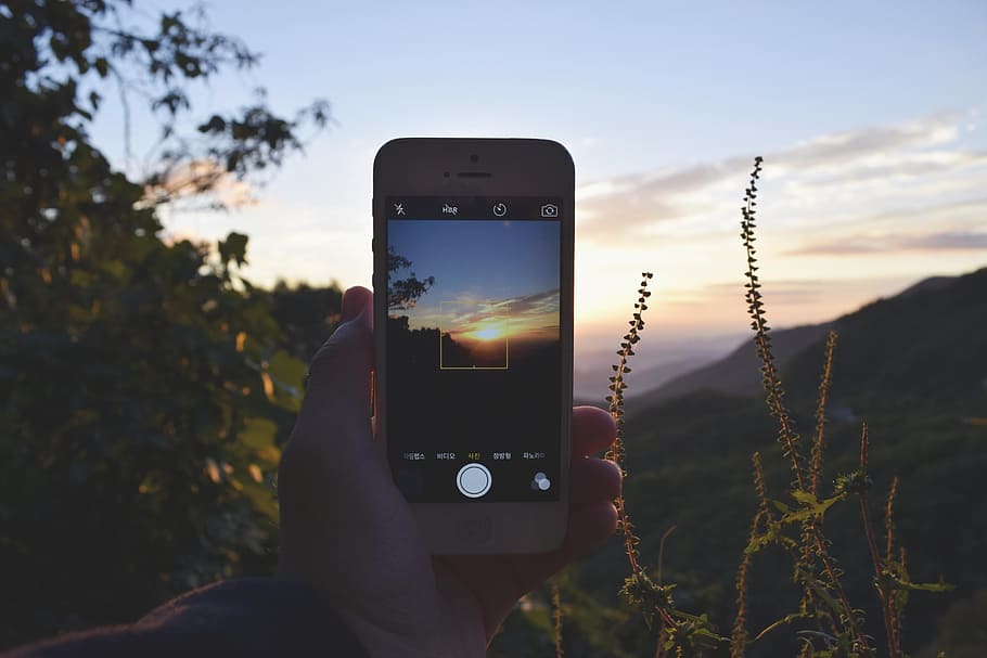 person taking photo of sunrise, person holding capturing golden hour using iPhone, HD wallpaper