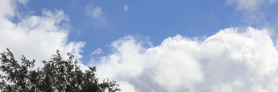 header, banner, sky, cloud, treetop, oxygen, background, backdrop HD wallpaper