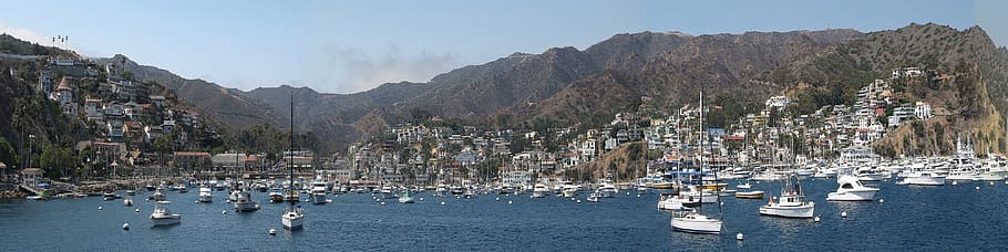 catalina, island, panorama, ocean, sea, california, america, HD wallpaper
