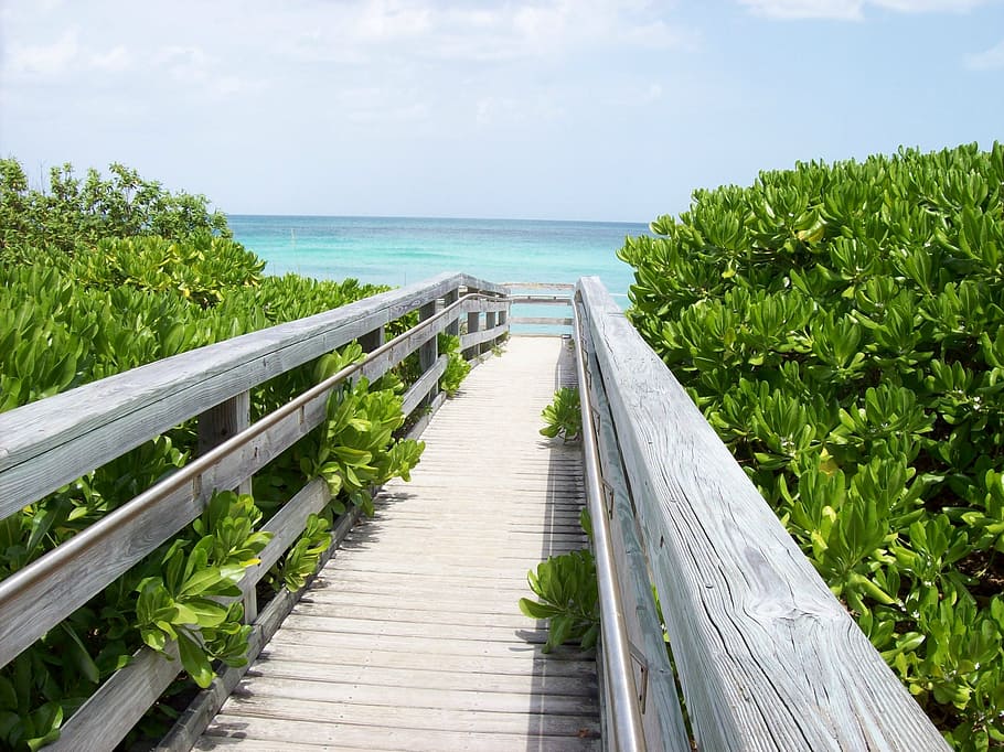 bridge, wood, way, beach, ocean, sea, water, nature, coast HD wallpaper