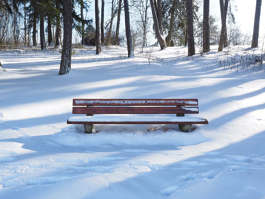 bench, snowy, bank, wintry, winter, cold temperature, tree HD wallpaper
