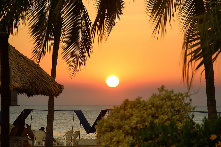 Landscape, Beach, Sunset, palm tree, tropical climate, sea HD wallpaper