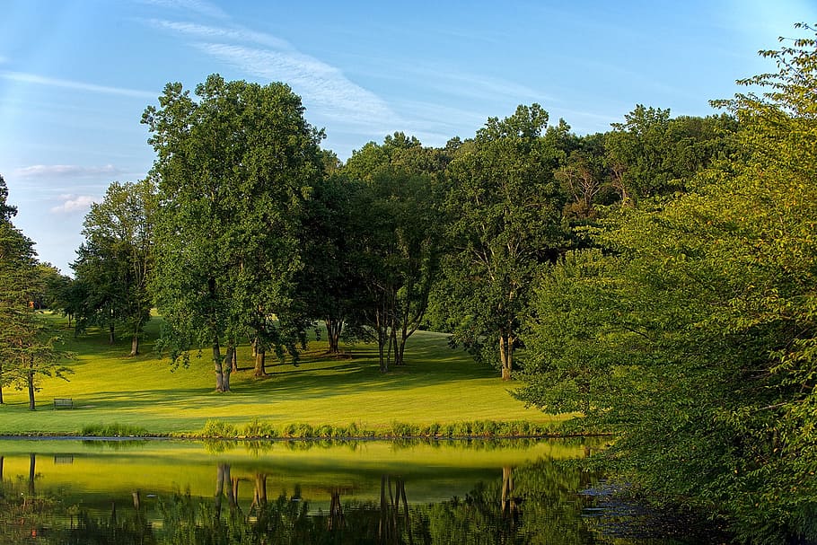 Virginia, Park, Tree, Scenic, green, outdoors, landscape, meadowlark botanical gardens, HD wallpaper
