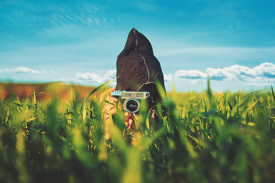 shallow focus photography of person taking photo, green grass in macro shot photography HD wallpaper