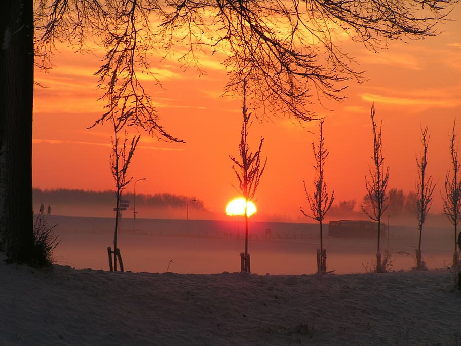 winter, trees, sunset, nature, dusk, outdoors, landscape, silhouette HD wallpaper
