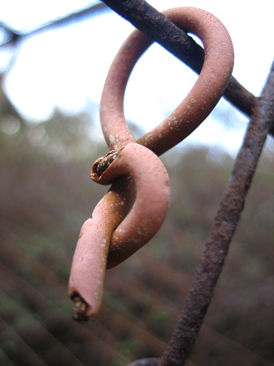 fence, rust, closeup, wire, rusted, metal, close-up, no people HD wallpaper