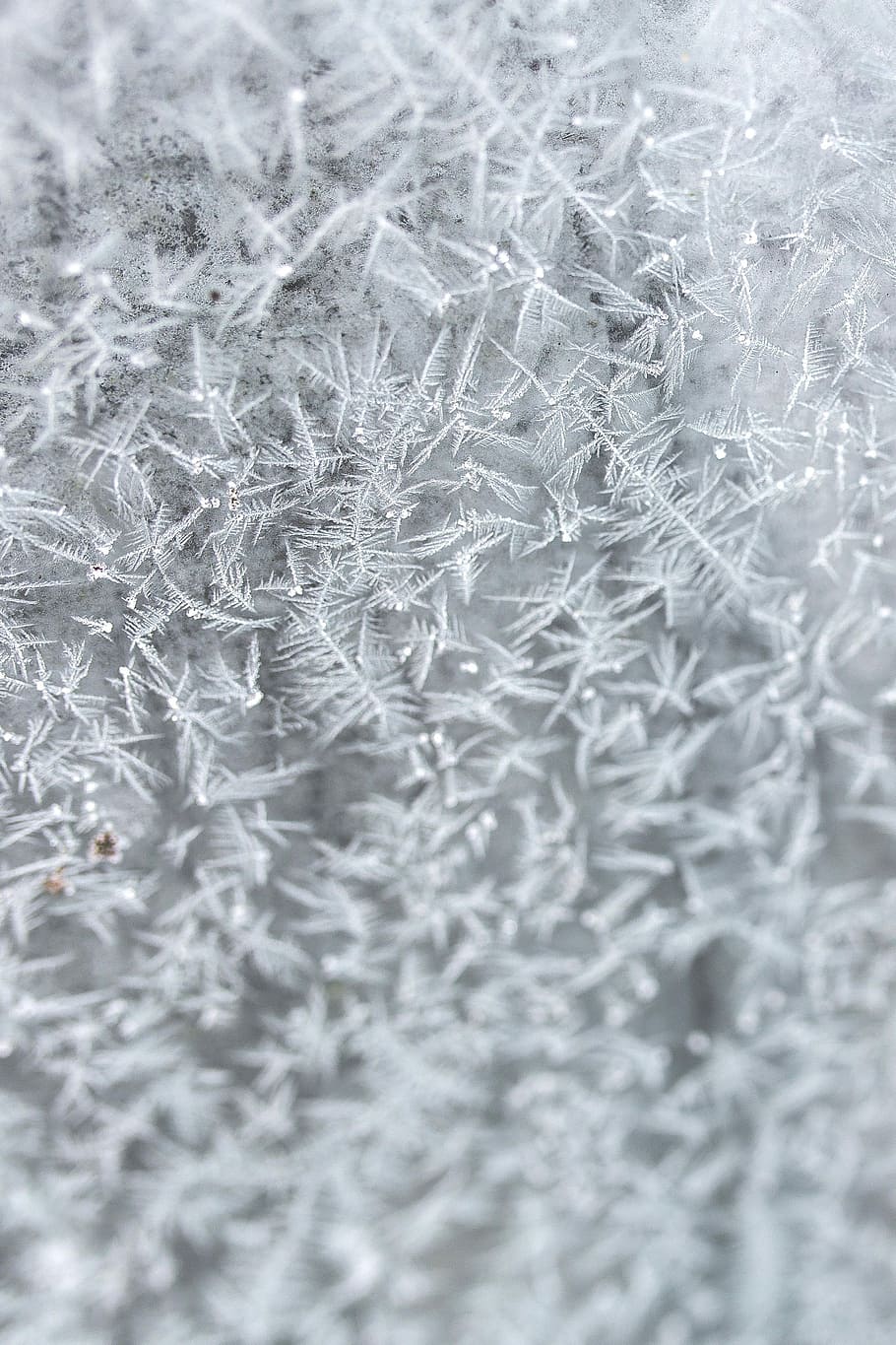 Frosty background, winter, cold, ice, backgrounds, pattern, close-up, HD wallpaper