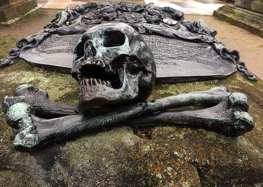human skull and bones on rock, skeleton, scary, teeth, fear HD wallpaper