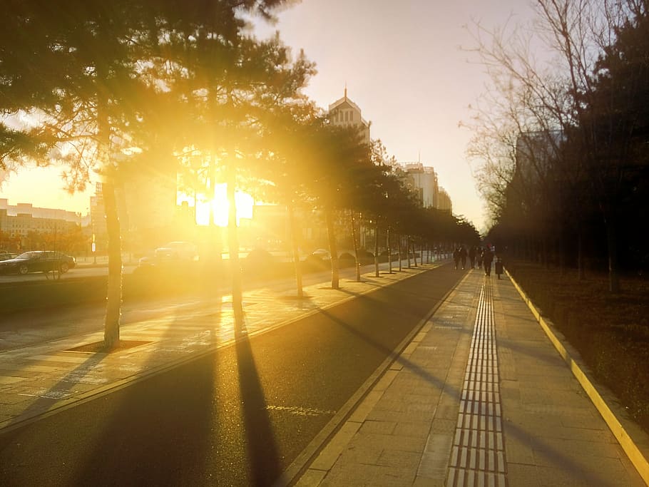 header, street, sun, sunlight, sunset, sky, lens flare, nature HD wallpaper